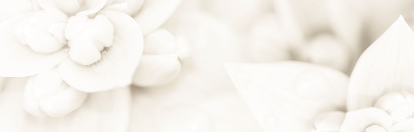 Trauma Therapie – Husfeld Suethoff