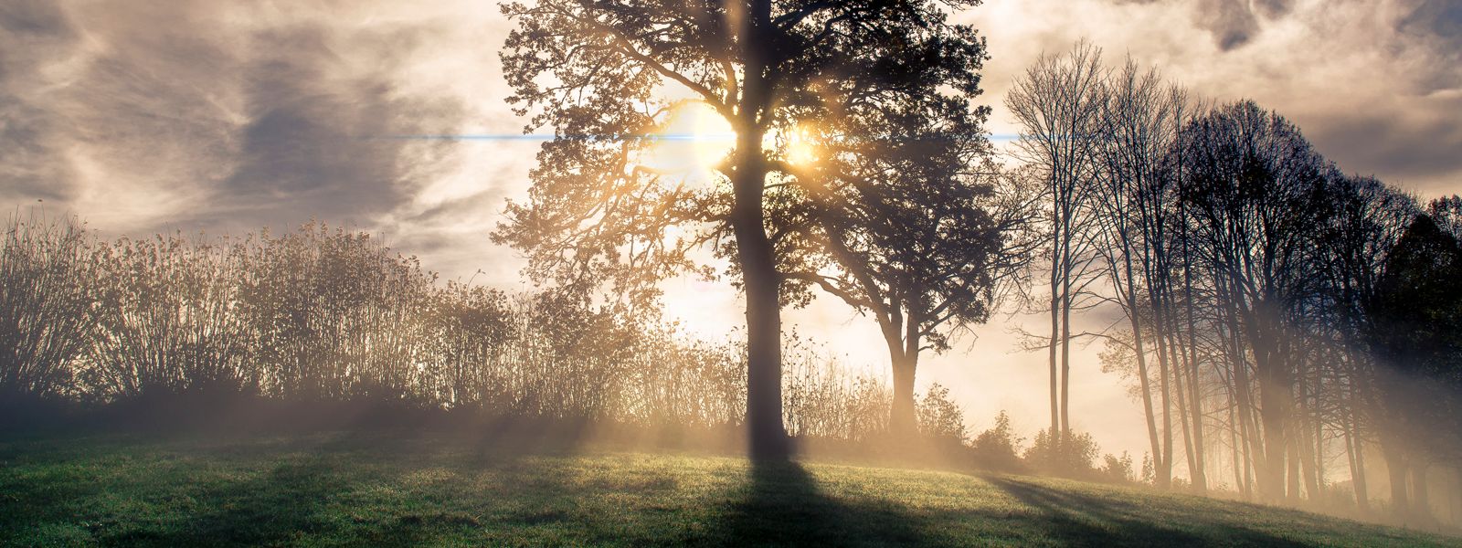 Stille Nacht, heilige Nacht – Weihnachten zwischen Freude und Einsamkeit