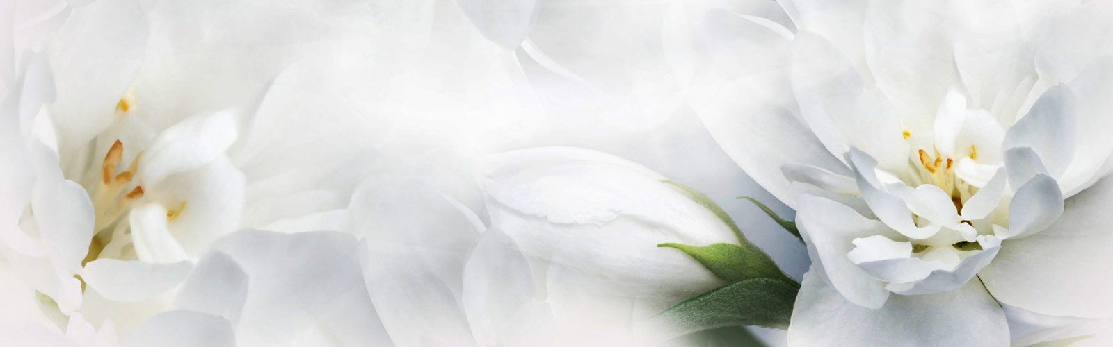 Trauma Therapie – Husfeld Suethoff