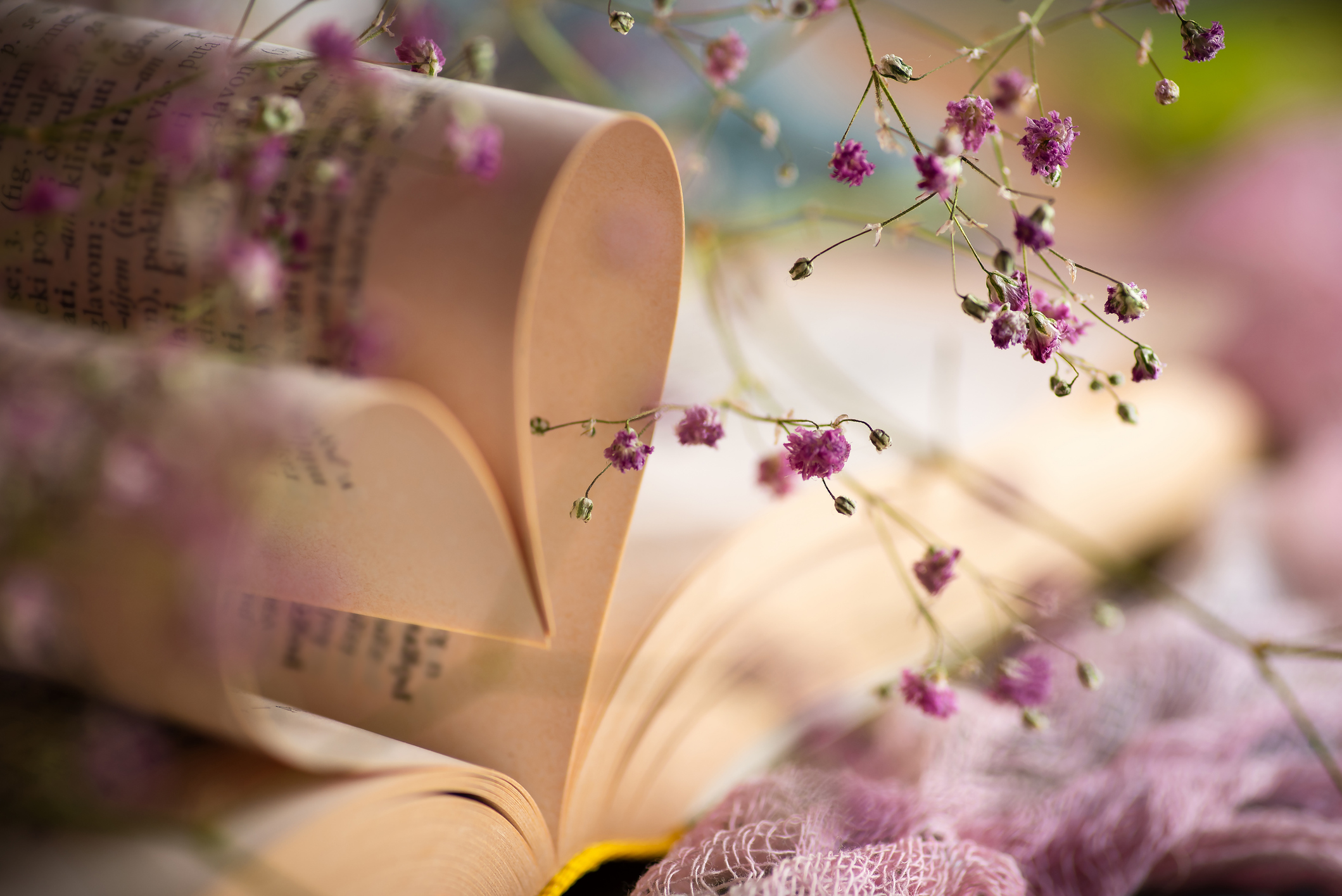 husfeld-suethoff-ueber-mich